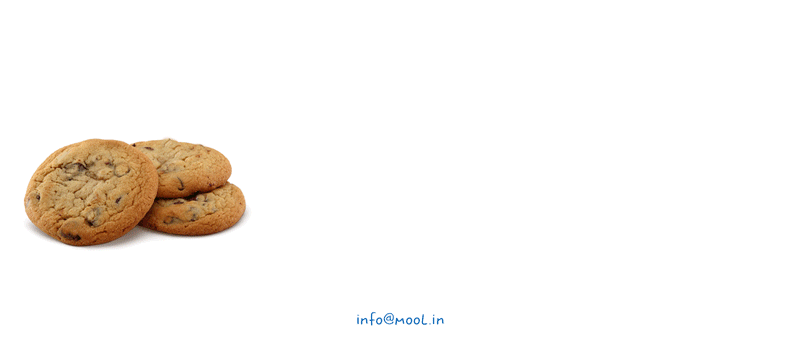 Wishlist 2018 - Raisins in Choco Chip Cookies